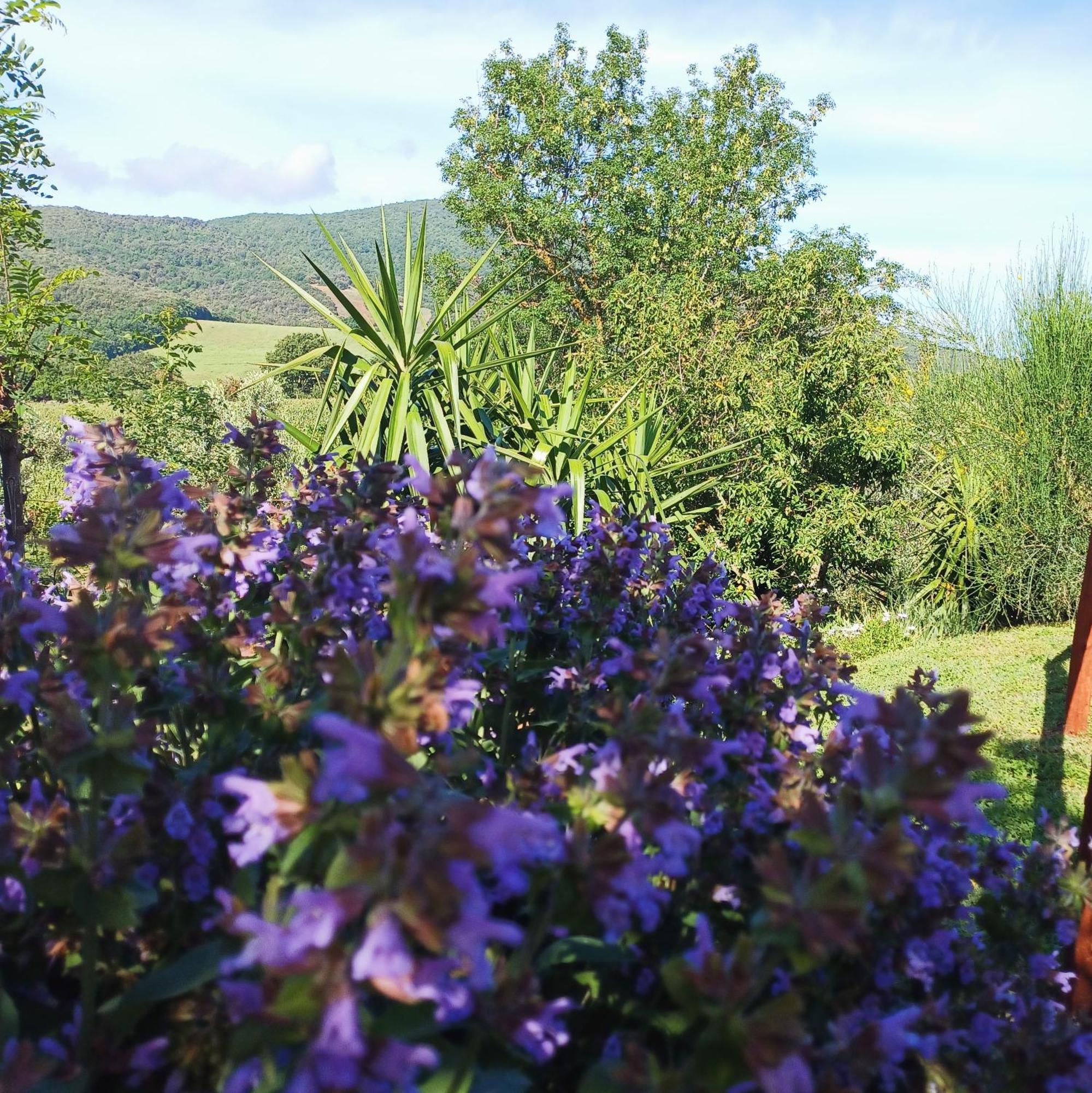 Agriturismo Colleverde Capalbio Exterior photo